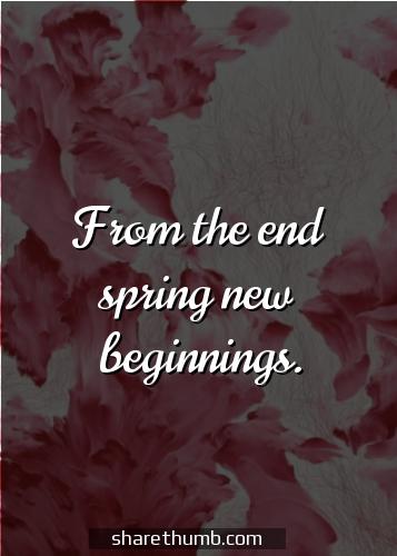 spring sayings for message boards